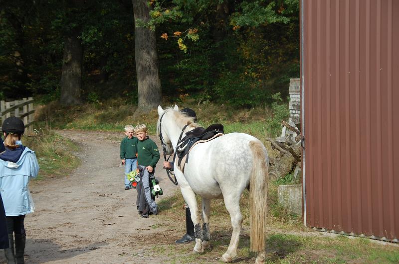 Tagesausritt Oktober 2008086.JPG